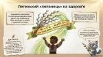 Вербна неділя: народні обряди, символи та традиції — Презентація НУШ (1–7 класи) та виховна година (до 5 квітня) - Зображення 3