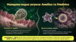 Як співіснують одноклітинні евкаріоти з іншими організмами — Презентація 7 клас НУШ - Зображення 4