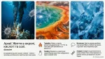 Яка різноманітність прокаріотів. Їх роль у природі та житті людини — Презентація, 7 клас НУШ - Зображення 3