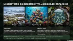 Яке біорізноманіття нашої планети та рівні його організації. Презентація з біології, НУШ, 7 клас - Зображення 4