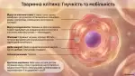 Які є типи організації клітин: Прокаріоти та Еукаріоти — Презентація, 7 клас НУШ - Зображення 2
