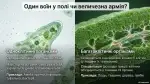 Що таке клітина та як її вивчають - Презентація, 7 клас, НУШ - Зображення 2