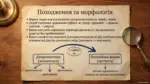 Презентація "Синтаксичні конструкції з формою на -но, -то" - Зображення 4